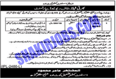 Patwari Jobs in Punjab 2022