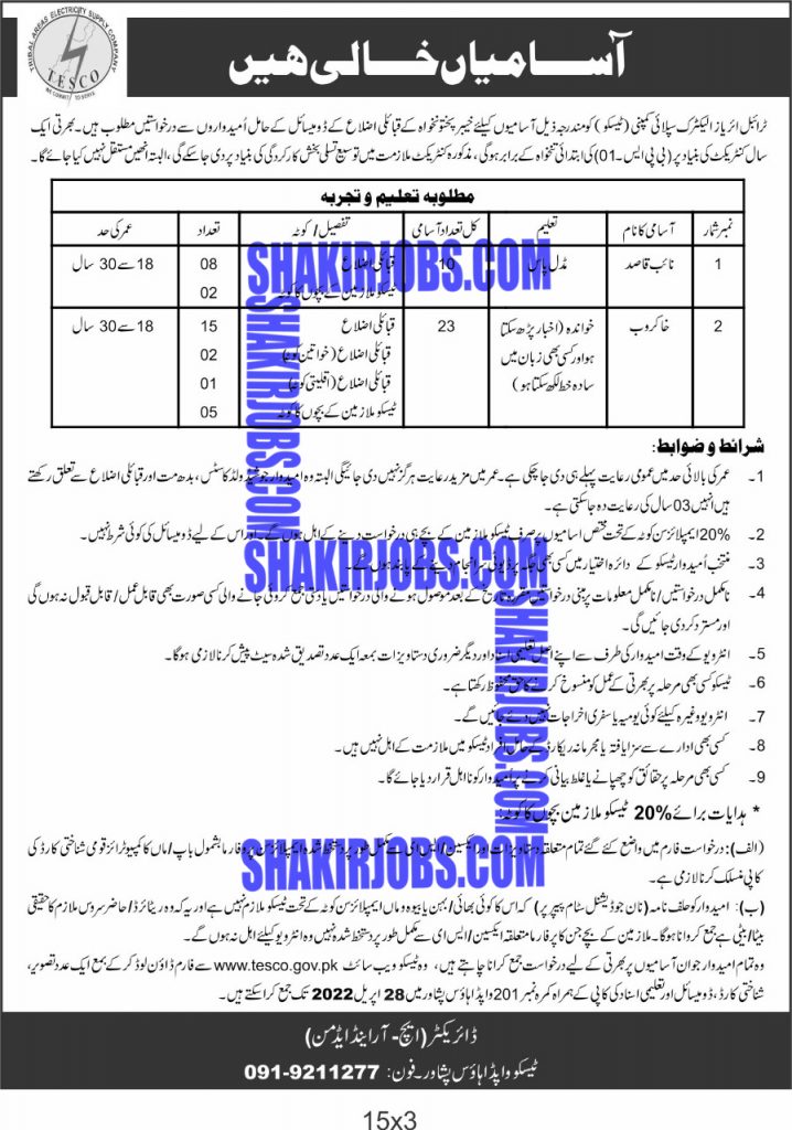 Tribal Areas Electricity Supply Company Jobs 2022