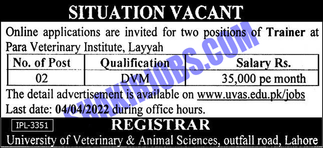 University of Veterinary and Animal Sciences Jobs 2022