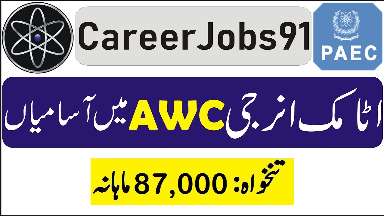 Career 91 Jobs