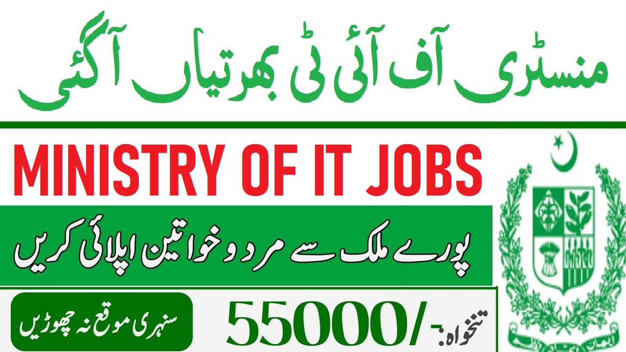 Ministry of IT Jobs