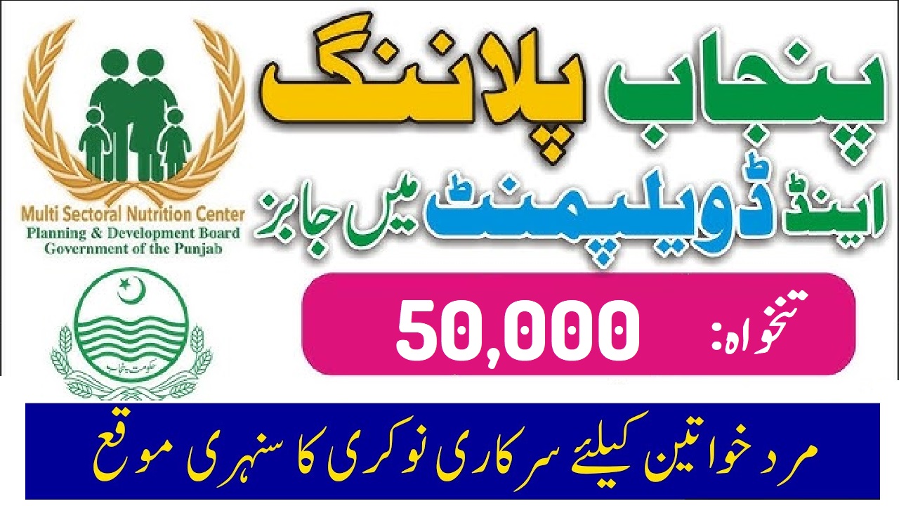Planning and Development Board Punjab Jobs