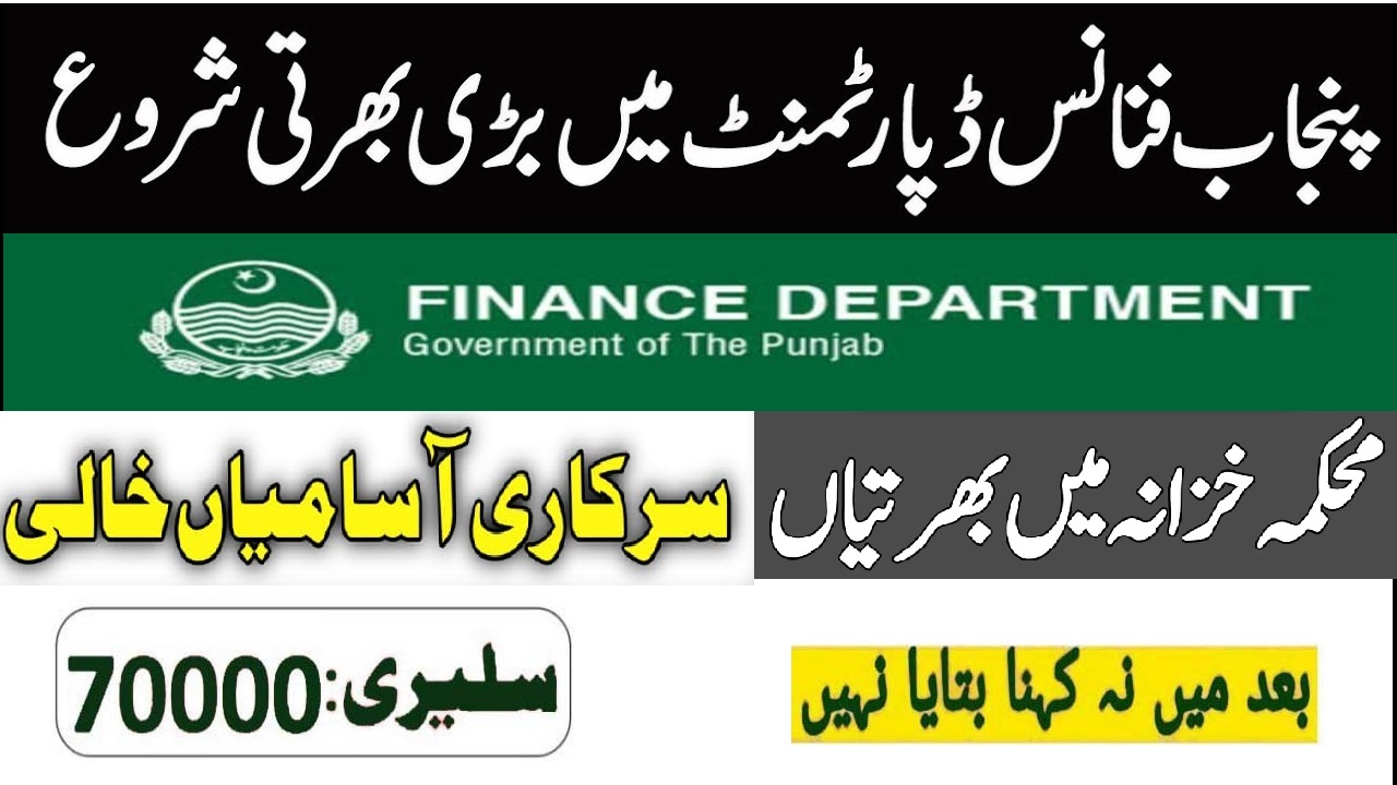 Punjab Finance Jobs