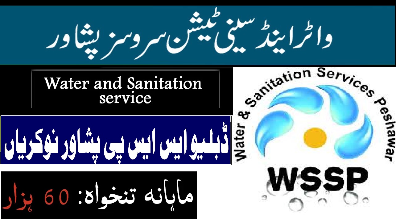 Water and Sanitation Services Peshawar WSSP Jobs